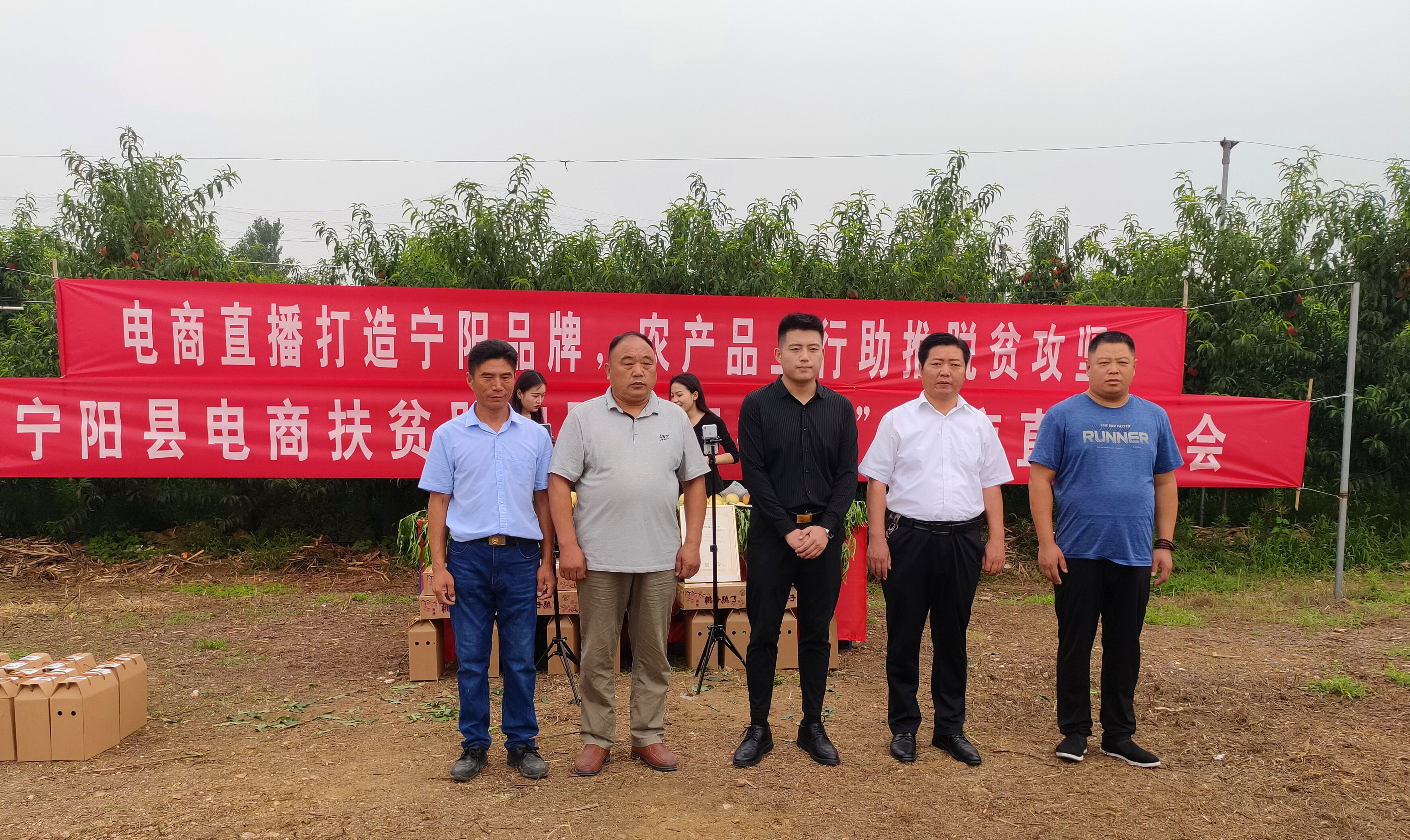 宁阳正规的网站建设 swj.taian.gov.cn